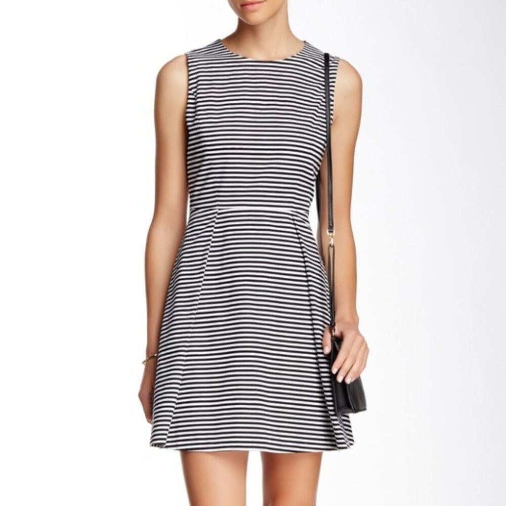 Kate Spade Saturday Fit & Flare Black/White Striped Skater Dress
